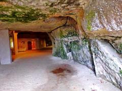 149 MUSEE DU CHAMPIGNON A  SAUMUR 2016 1_000023